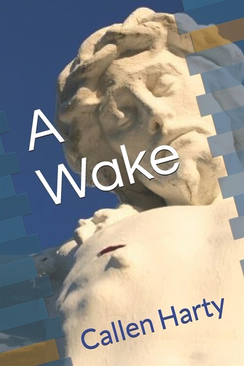 A Wake (Paperback)