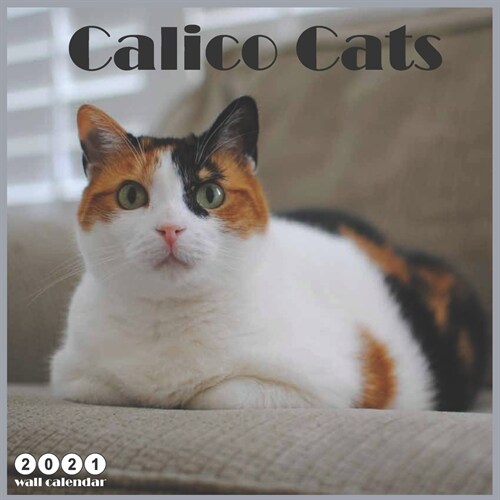 Calico Cats 2021 Wall Calendar: Official Cats Breed 2021 Calendar 18 Months (Paperback)