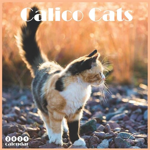 Calico Cats Calendar 2021: Official Cats Breed Wall Calendar 2021, 18 Months (Paperback)