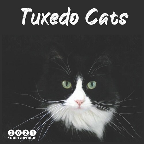 Tuxedo Cats 2021 Wall Calendar: Official Cats Breed 2021 Calendar 18 Months (Paperback)