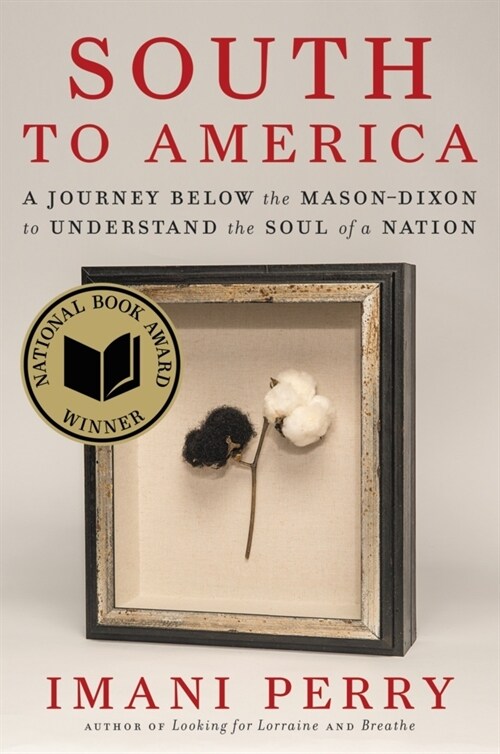 South to America: A Journey Below the Mason-Dixon to Understand the Soul of a Nation (Hardcover)
