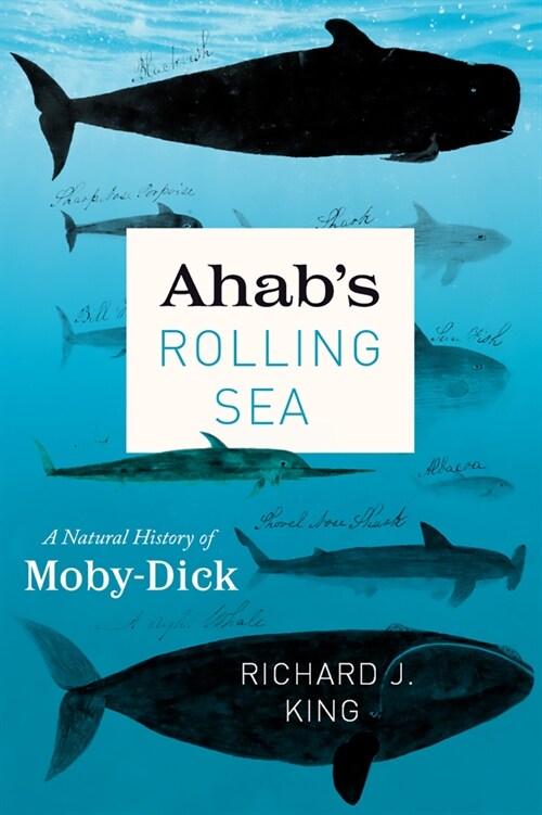 Ahabs Rolling Sea: A Natural History of Moby-Dick (Paperback)