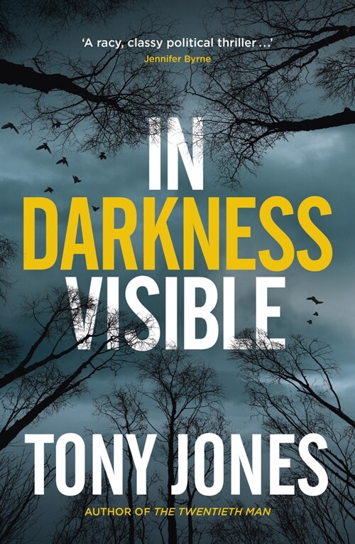 In Darkness Visible (Paperback)