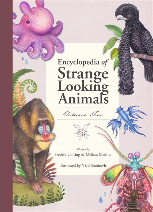 Encyclopedia of Strange Looking Animals (Hardcover)