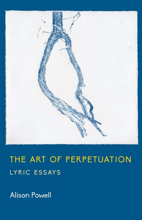 The Art of Perpetuation (Paperback)