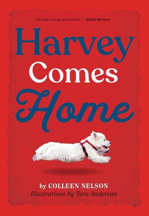 Harvey Comes Home (Paperback)