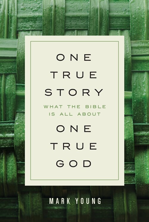 One True Story, One True God: What the Bible Is All about (Paperback)