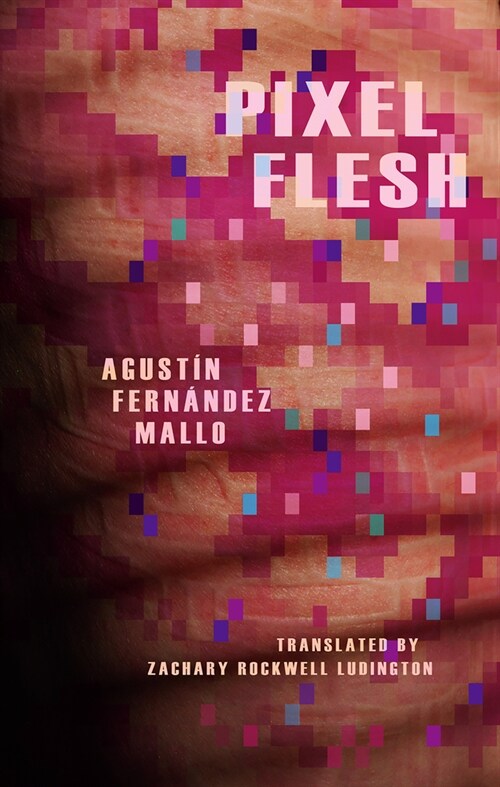 Pixel Flesh (Paperback)