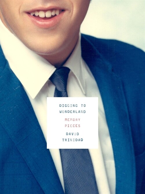 Digging to Wonderland: Memory Pieces (Paperback)