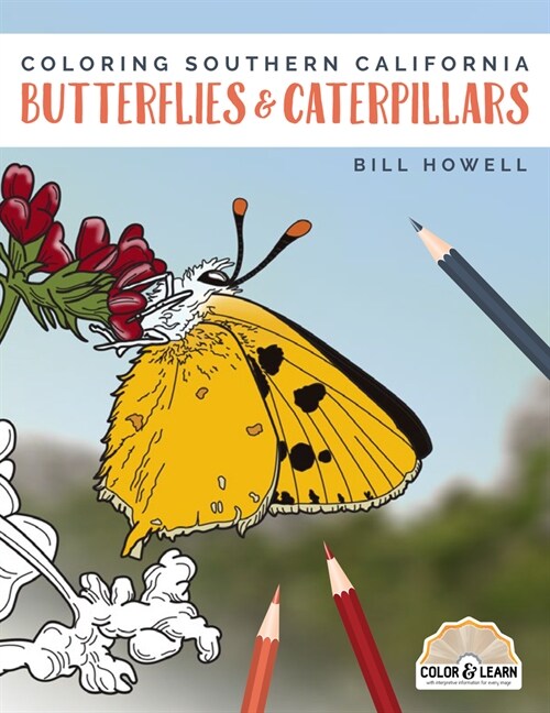 Coloring Southern California Butterflies and Caterpillars (Paperback)