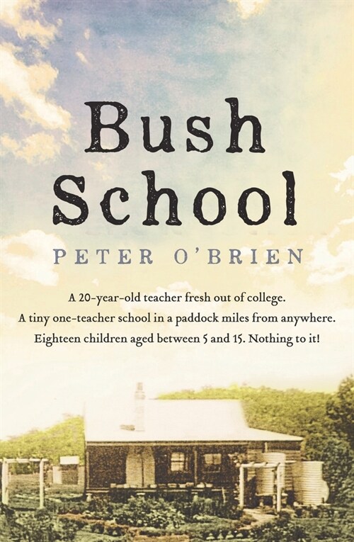 Bush School (Paperback)