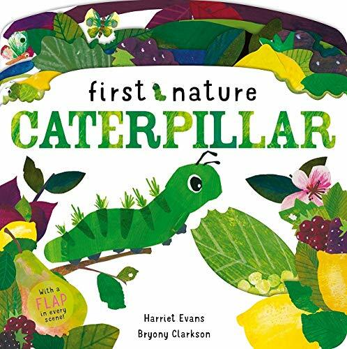 Caterpillar (Novelty Book)