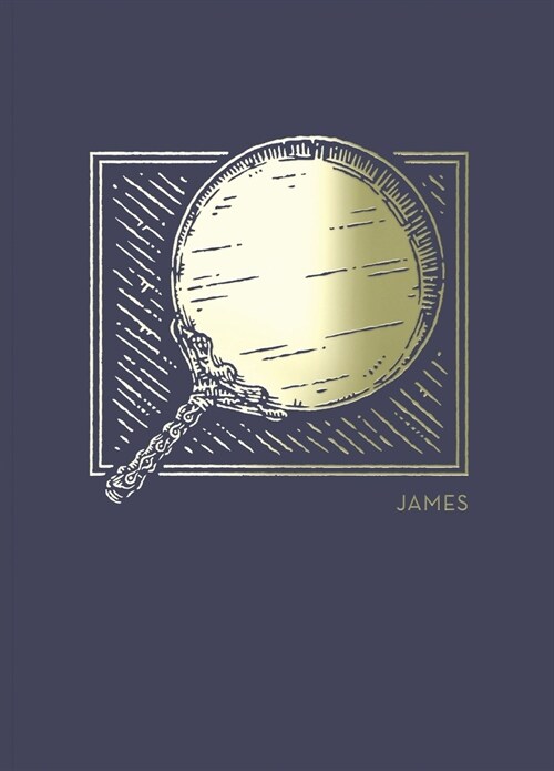 Net Abide Bible Journal - James, Paperback, Comfort Print: Holy Bible (Paperback)