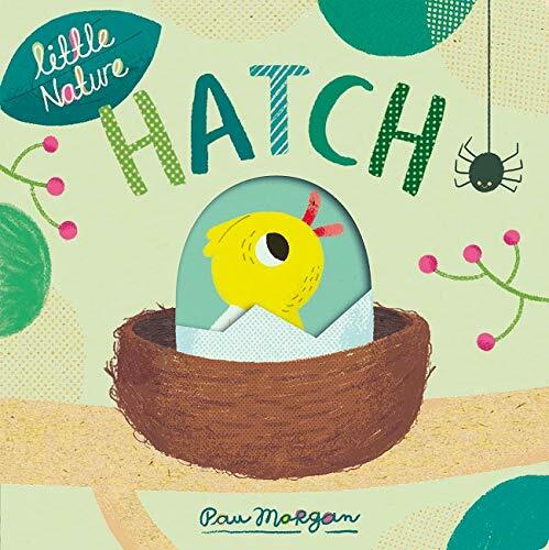 Hatch (Board Book)