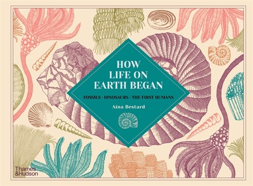 How Life on Earth Began : Fossils · Dinosaurs · The First Humans (Hardcover)