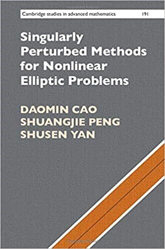 Singularly Perturbed Methods for Nonlinear Elliptic Problems (Hardcover)