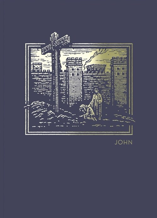 Net Abide Bible Journal - John, Paperback, Comfort Print: Holy Bible (Paperback)