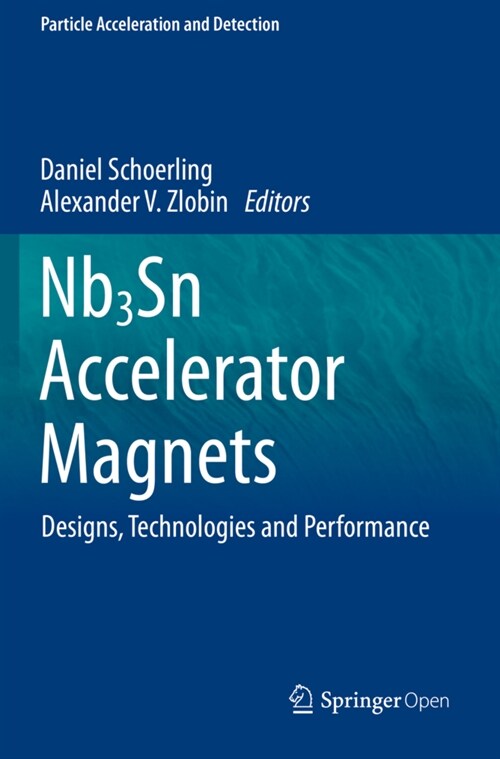 Nb3sn Accelerator Magnets: Designs, Technologies and Performance (Paperback, 2019)