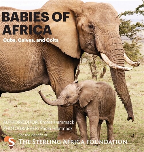 Babies of Africa: Cubs, Calves and Colts (Hardcover)