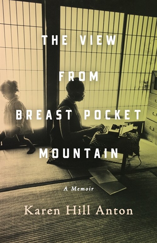 The View From Breast Pocket Mountain (Paperback)