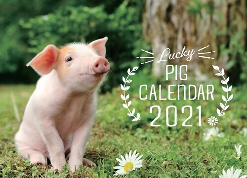 Lucky Pig Calendar (2021)