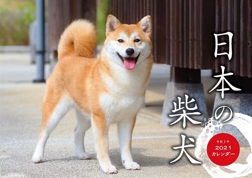 日本の柴犬カレンダ- (2021)