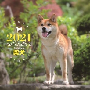 大判カレンダ-柴犬 (2021)
