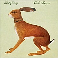 [중고] Vashti Bunyan - Lookaftering (LP 게이트폴드)