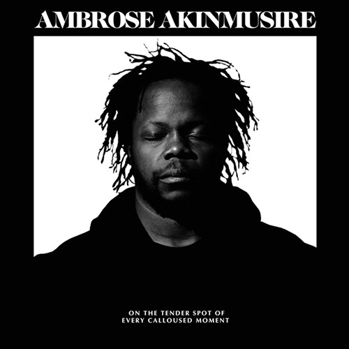 [중고] [수입] Ambrose Akinmusire - on the tender spot of every calloused moment [Gatefold][180g LP]