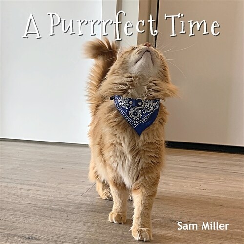 A Purrrfect Time (Paperback)