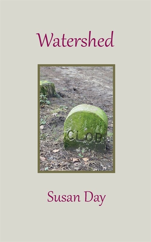 Watershed (Paperback)