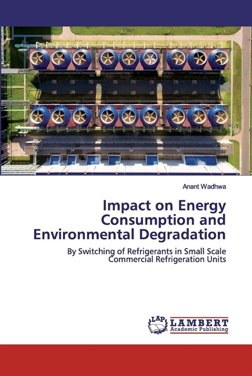 Impact on Energy Consumption and Environmental Degradation (Paperback)