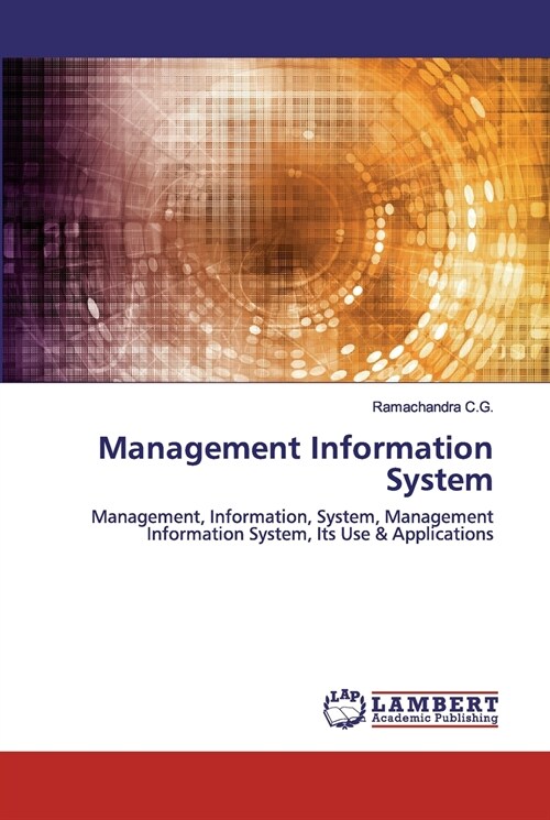 Management Information System (Paperback)