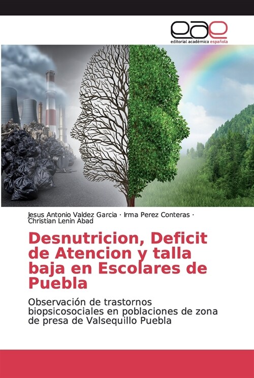 Desnutricion, Deficit de Atencion y talla baja en Escolares de Puebla (Paperback)