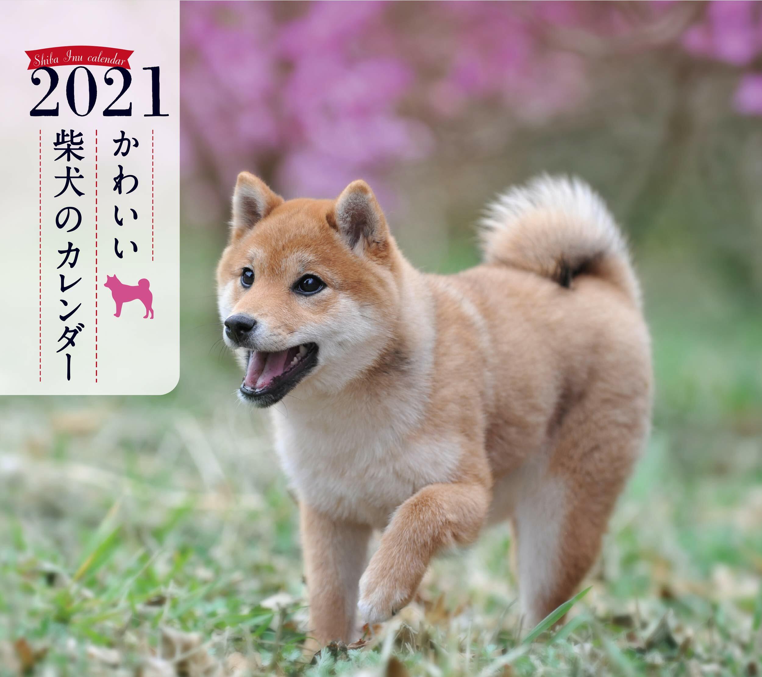 ミニ判カレンダ-かわいい柴犬のカレンダ- (2021)