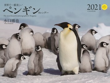 ワイド判カレンダ-世界で一番美しいペンギンカレンダ- (2021)