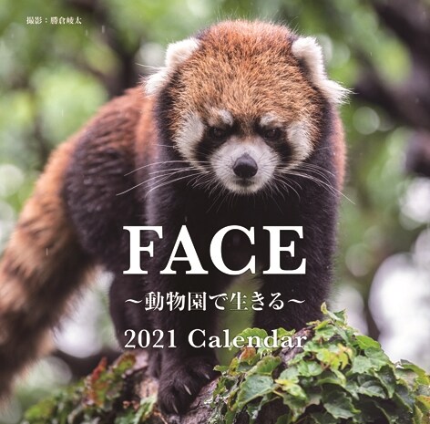 大判カレンダ-FACE~動物園で生きる~Calendar (2021)