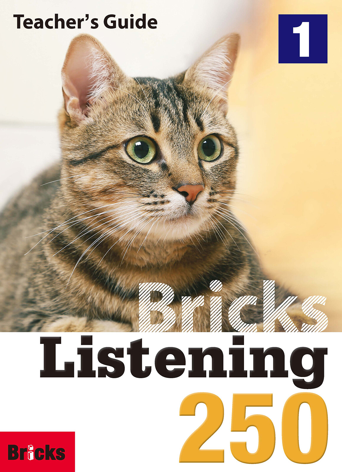 Bricks Listening 250 Level 1 : Teachers Guide