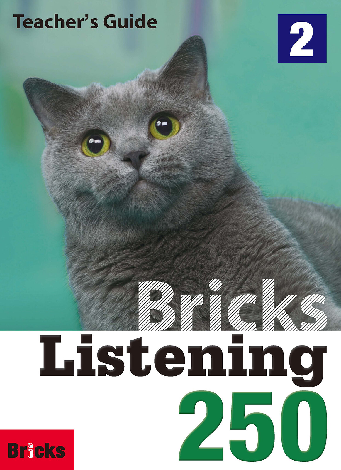 [중고] Bricks Listening 250 Level 2 : Teachers Guide