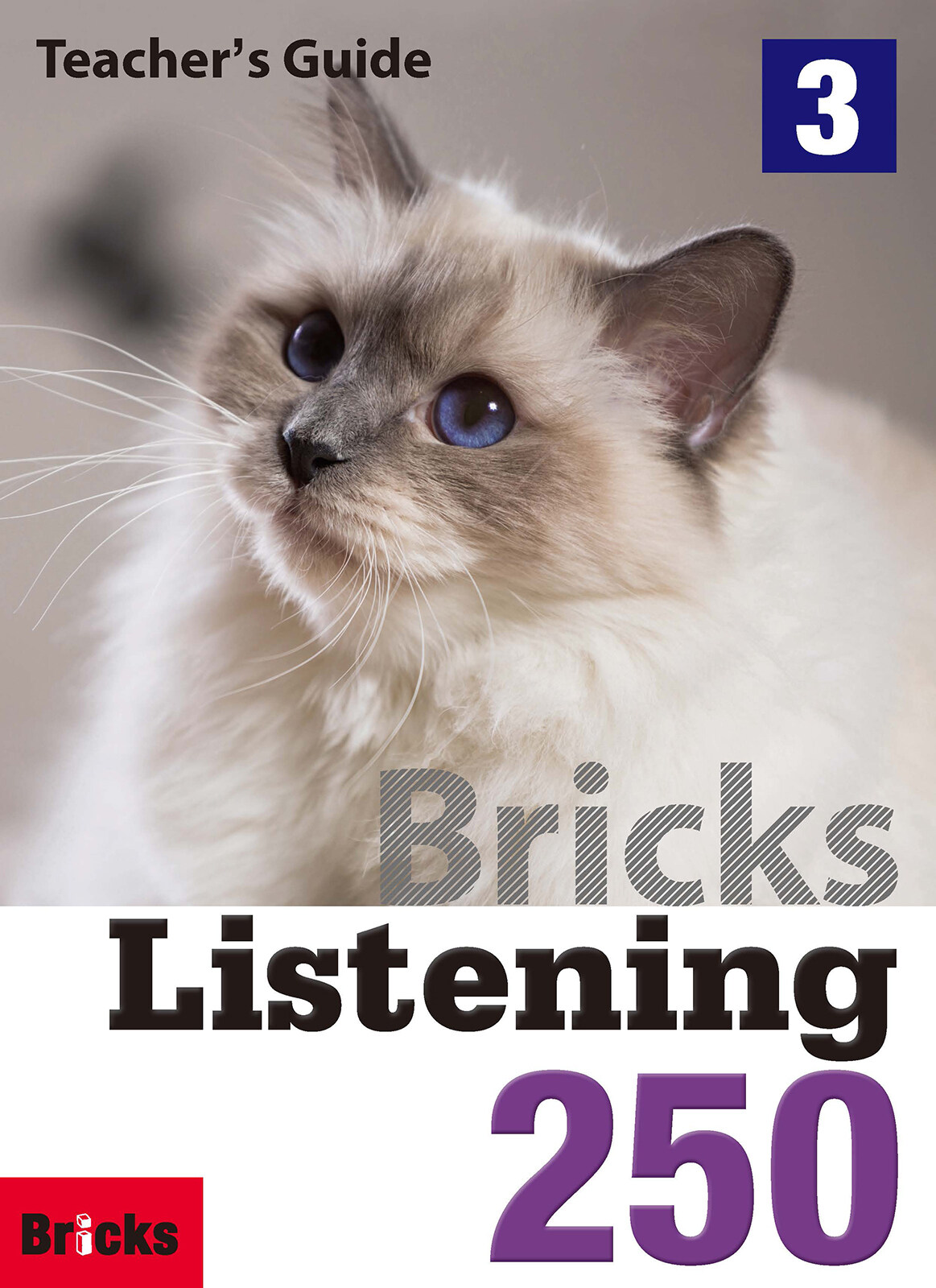 Bricks Listening 250 Level 3 : Teachers Guide