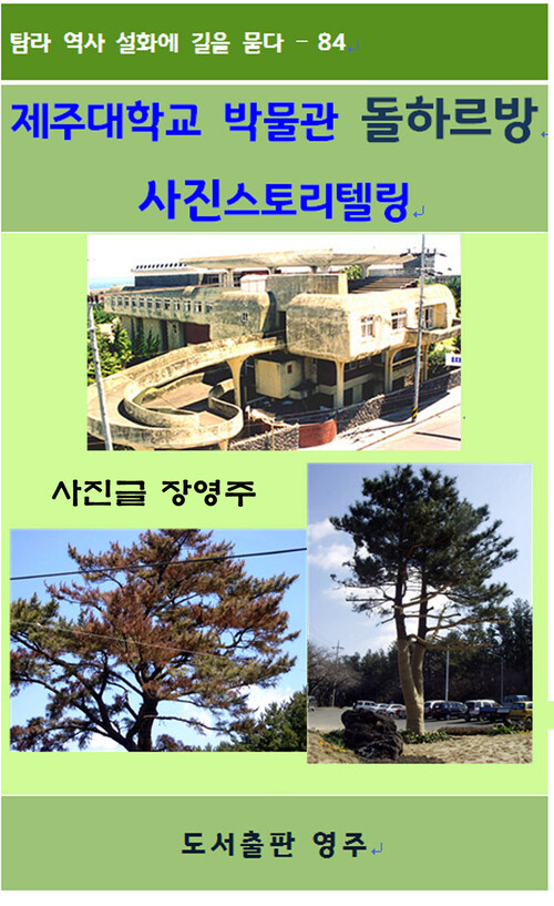 제주대학교 박물관 돌하르방 사진스토리텔링