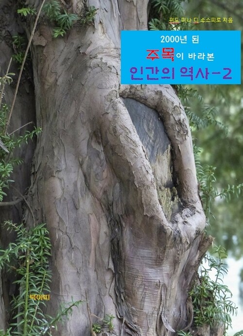 2000년 된 주목이 바라본 인간의 역사 2