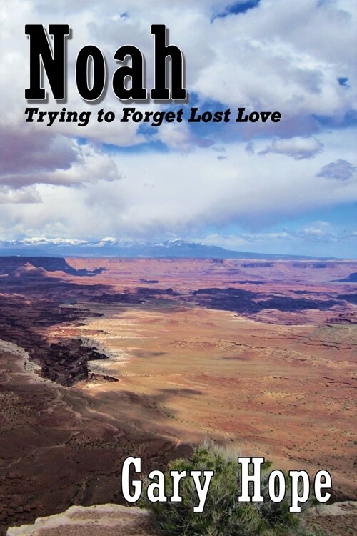 Noah: Trying to Forget Lost Love (Paperback)