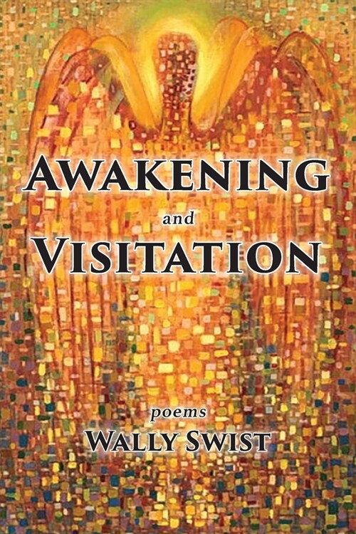 Awakening and Visitation (Paperback)