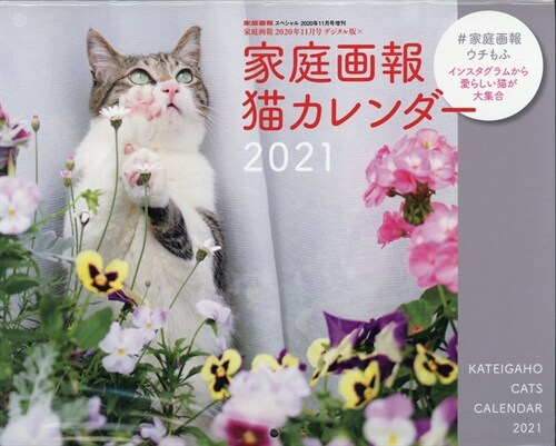 家庭畵報2020年11月?デジタル版×家庭畵報 猫カレンダ-2021