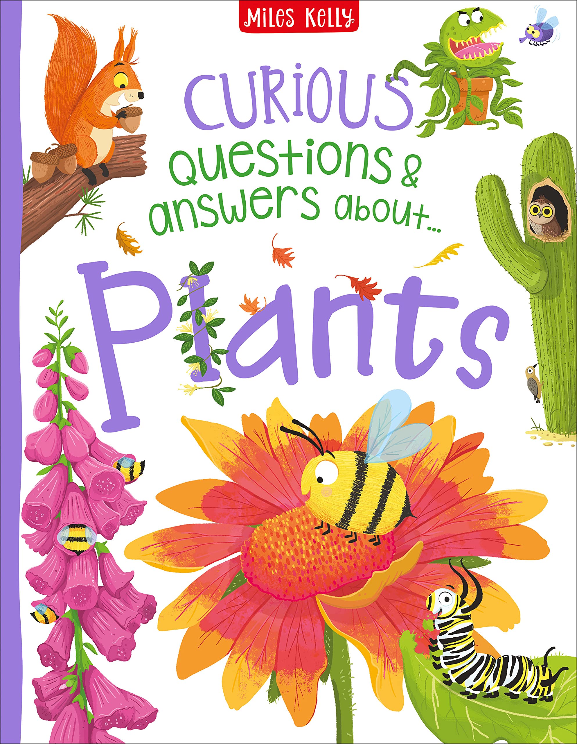 Curious Questions & Answers about Plants (Hardcover)