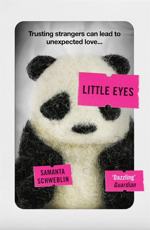 Little Eyes : LONGLISTED FOR THE BOOKER INTERNATIONAL PRIZE, 2020 (Paperback)