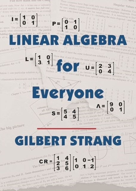 Linear Algebra for Everyone (Hardcover)