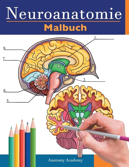 Neuroanatomie Malbuch: Detailliertes Malbuch zum Selbsttest des menschlichen Gehirns f? die Neurowissenschaften Perfektes Geschenk f? Mediz (Paperback)