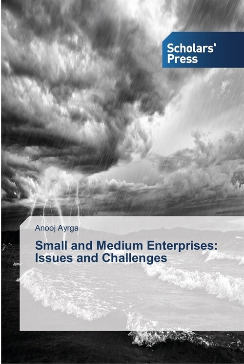 Small and Medium Enterprises: Issues and Challenges (Paperback)